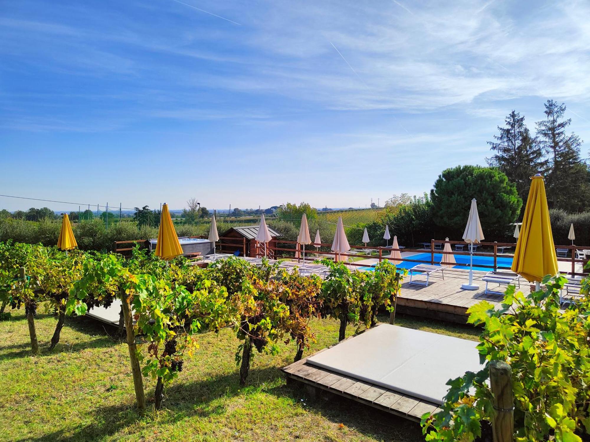 Agriturismo E Cantina La Sabbiona Фаенца Екстериор снимка