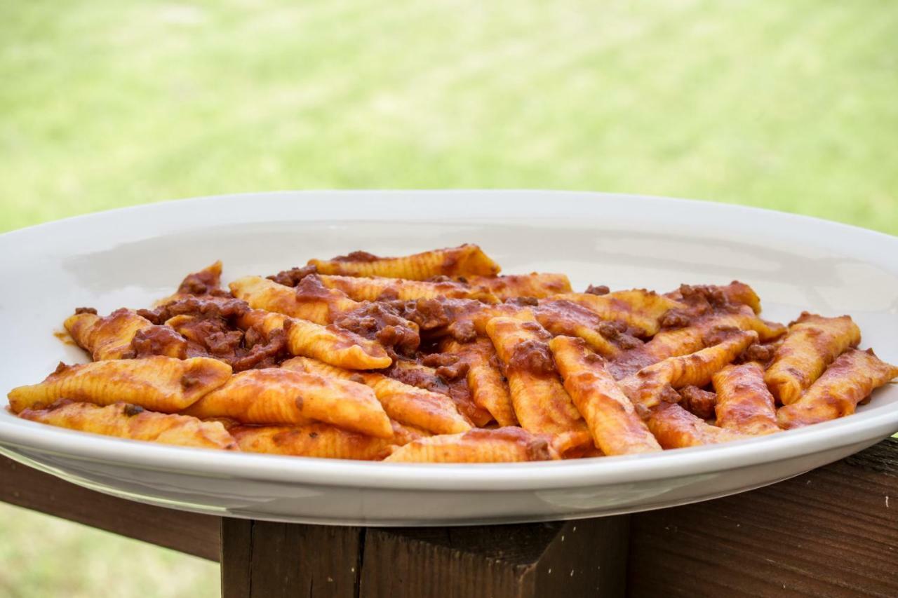 Agriturismo E Cantina La Sabbiona Фаенца Екстериор снимка
